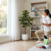 Apakah di Riau Ada Home Cleaning? Temukan Layanan PHC Pekanbaru Home Cleaning